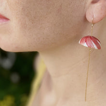 Load image into Gallery viewer, Meduga