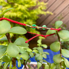 Charger l'image dans la galerie, Bianzhi - 2 coloris