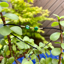 Charger l'image dans la galerie, Bianzhi - 2 coloris