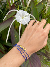 Load image into Gallery viewer, Am-Po